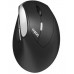 RAPOO 13531 MOU EV250 Siyah Kablosuz Ergonomik 1300DPI Mouse