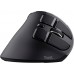 TRUST 23731 VOXX ERGONOMIC RECHARGEABLE MOUSE